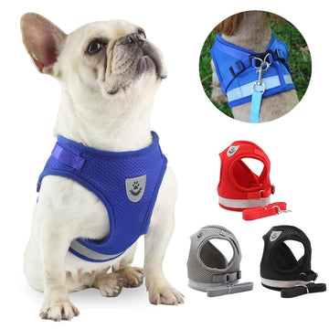 Adjustable Dog Harness