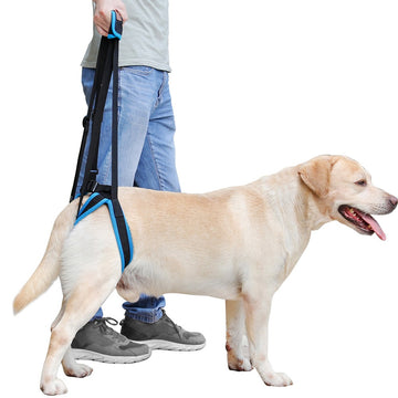 Adjustable Pet Dog Sling Lift