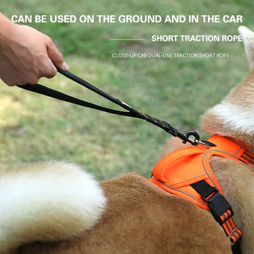 Durable Pet Dog Leash