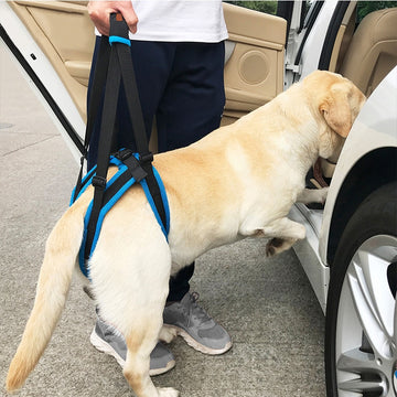 Adjustable Pet Dog Sling Lift