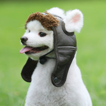 Pet Dog Pilot Hat