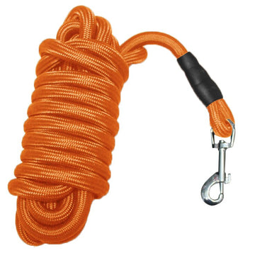 Nylon Dog Leash