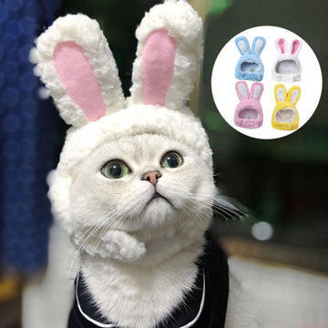 Rabbit Ear Cat Hat