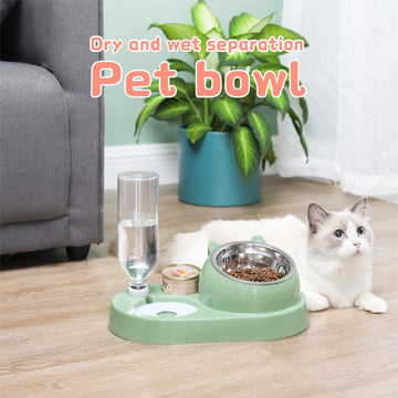 Dog Bowl