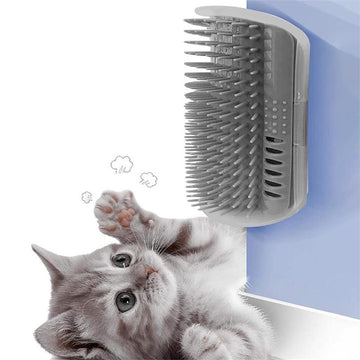 Wall Mounted Massage Comb