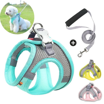 Harness for Small Dogs